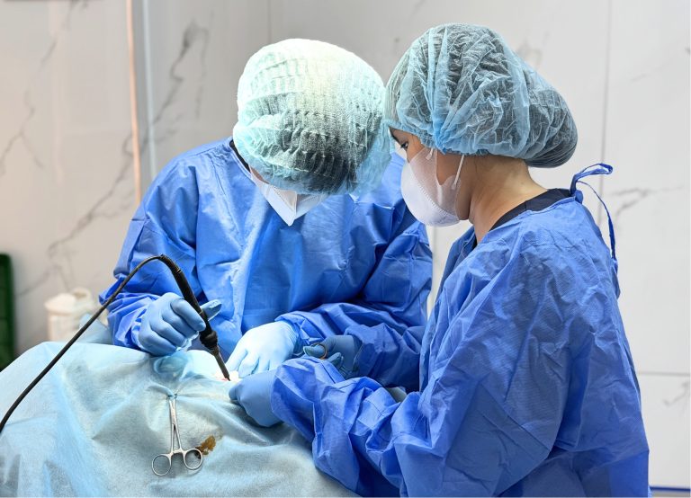 Triệt sản là gì? 5 lý do vì sao bạn nên triệt sản chó mèo ngay hôm nay