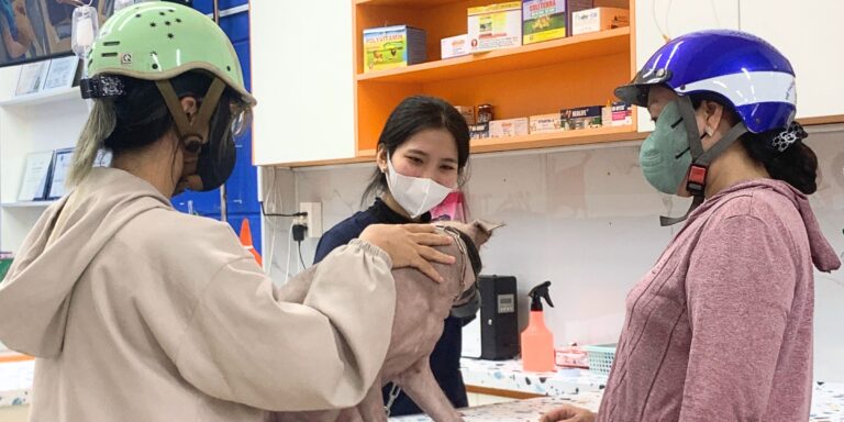 Các Bệnh Thường Gặp ở Chó Mèo: Cẩm Nang Nhận Biết, Phòng Ngừa Và Điều Trị Từ A-Z