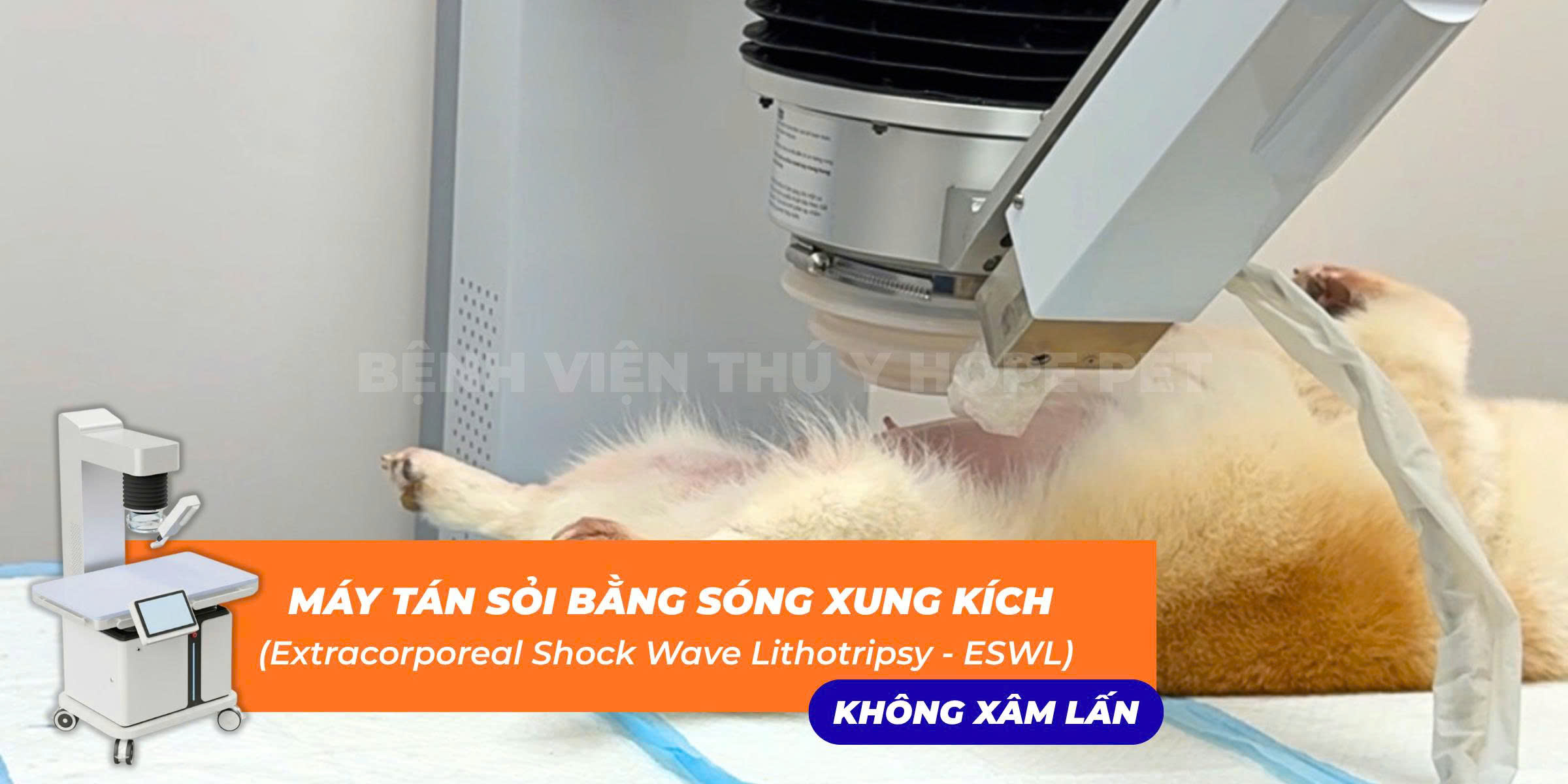 Máy tán sỏi bằng sóng xung kích