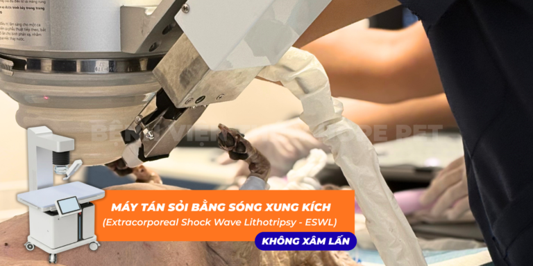 Những LỢI ÍCH của Công nghệ TÁN SỎI bằng SÓNG XUNG KÍCH không xâm lấn ở thú cưng